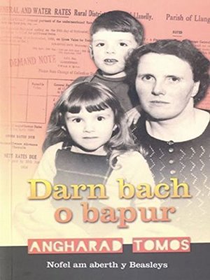 cover image of Darn Bach o Bapur